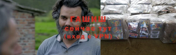тгк Гусев