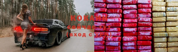 прущая мука Горняк