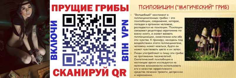 Галлюциногенные грибы мухоморы  Купить  Туймазы 